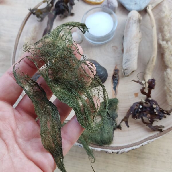 Seaside and river treasures