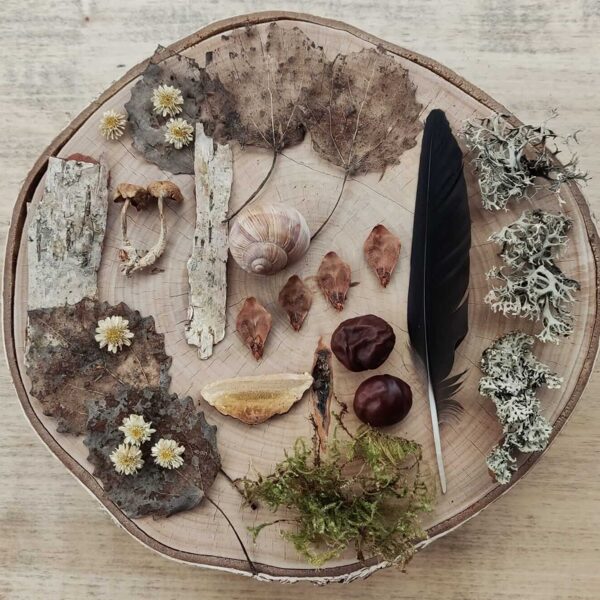 Forest craft materials