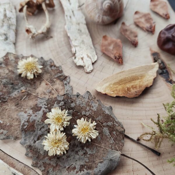 Skeletonized leaf and tiny flowers