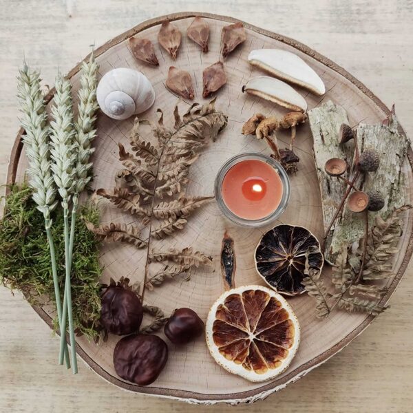 Wild forager talisman kit