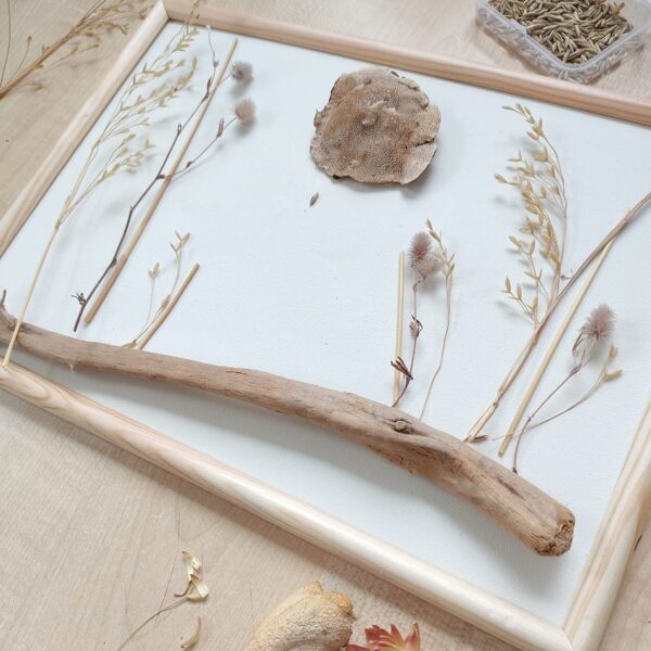 Natural materials arranged on a painted surface