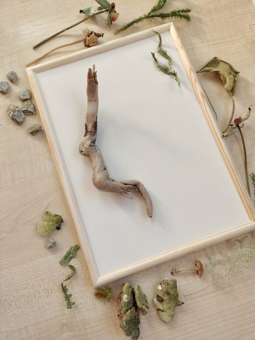 Work in progress nature-based wall artwork made from driftwood, stones, moss and fungi, arranged on an A4 board with a natural wooden frame.
