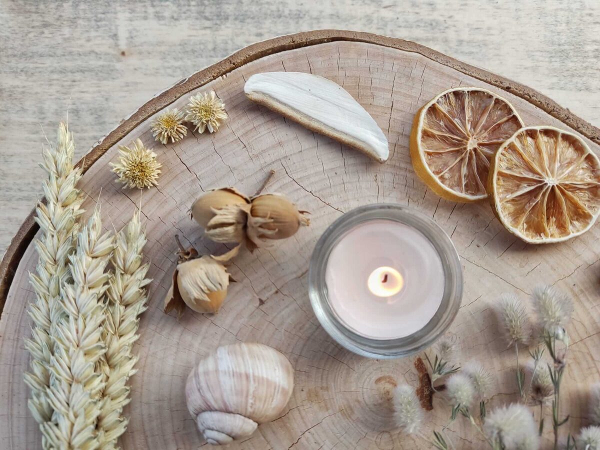 A gentle collection of forest and meadow materials — dried flowers, moss, shells and bark prepared for crafting